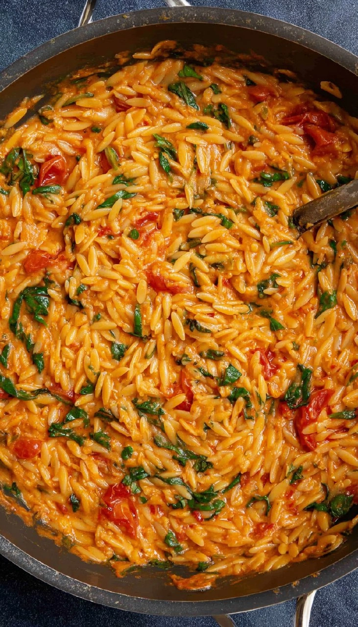 One Pot Creamy Tomato Orzo 142 One Pot Creamy Tomato Orzo