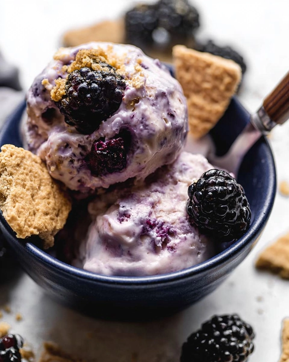 Blackberry Cheesecake Cottage Cheese Ice Cream