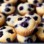Blueberry-Muffin-Bites-Recipe