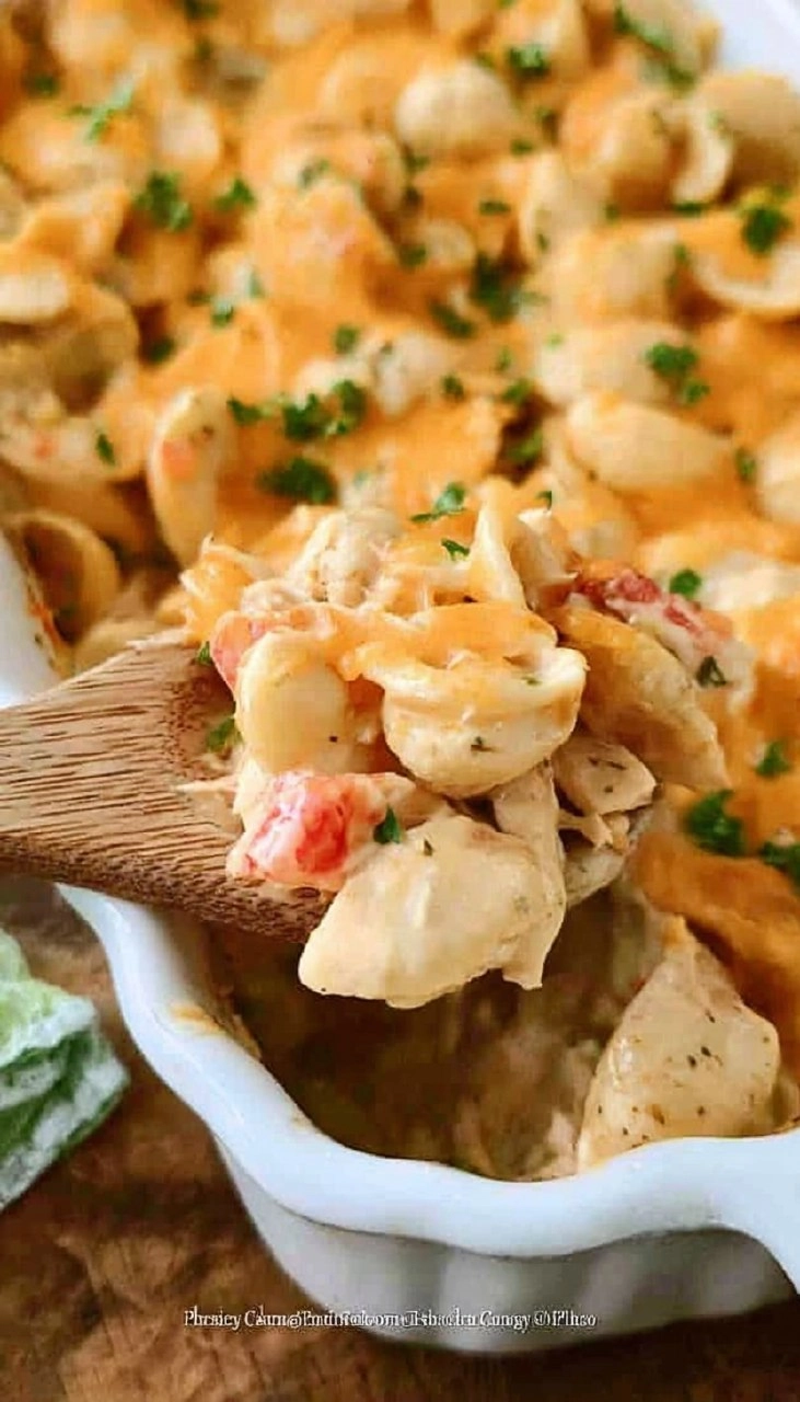 Cheesy Chicken Casserole